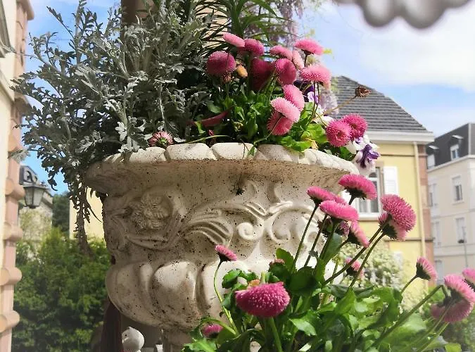 בית הארחה Castelnau