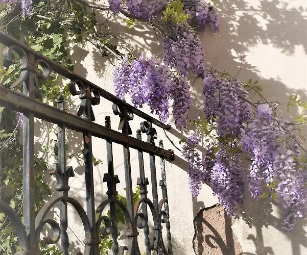 Castelnau בית הארחה קולמר